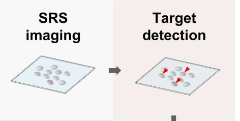 科学家发明了利用光按类型对细胞进行分类的新方法