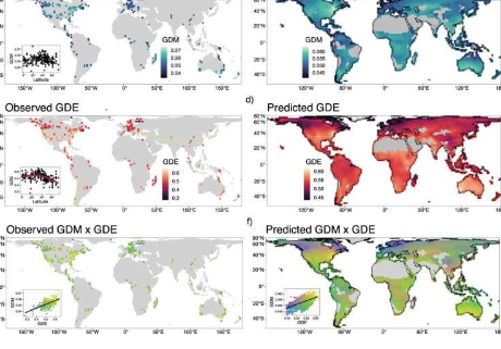 研究人员构建了第一个昆虫线粒体遗传多样性全球图