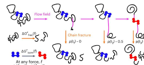 化学家解决了长期存在的聚合物科学难题