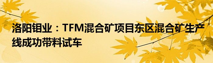 洛阳钼业：TFM混合矿项目东区混合矿生产线成功带料试车