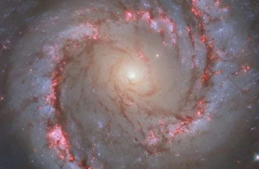 哈勃捕捉到螺旋星系NGC1566