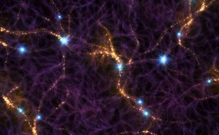 粘菌能告诉我们什么关于宇宙的知识