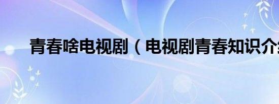 青春啥电视剧（电视剧青春知识介绍）