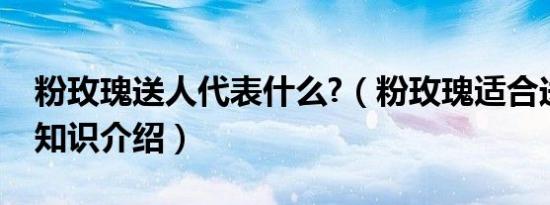 粉玫瑰送人代表什么?（粉玫瑰适合送什么人知识介绍）