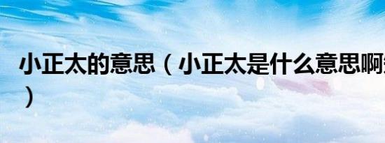 小正太的意思（小正太是什么意思啊知识介绍）