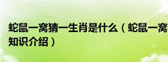 蛇鼠一窝猜一生肖是什么（蛇鼠一窝打一生肖知识介绍）