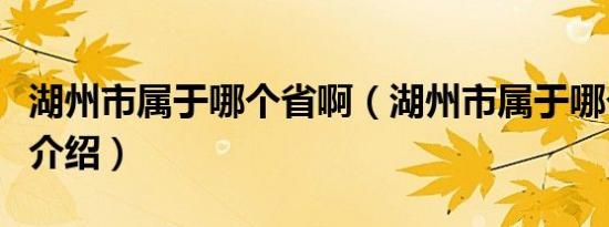 湖州市属于哪个省啊（湖州市属于哪个省知识介绍）