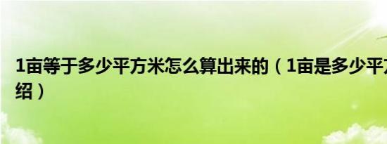 1亩等于多少平方米怎么算出来的（1亩是多少平方米知识介绍）