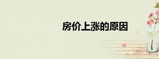 房价上涨的原因