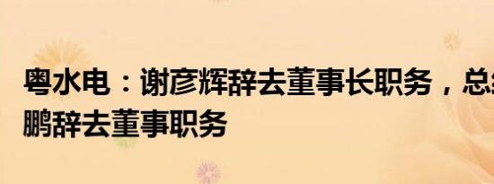 粤水电：谢彦辉辞去董事长职务，总经理卢大鹏辞去董事职务