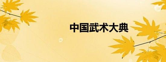 中国武术大典
