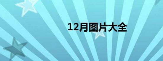 12月图片大全