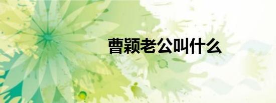 曹颖老公叫什么