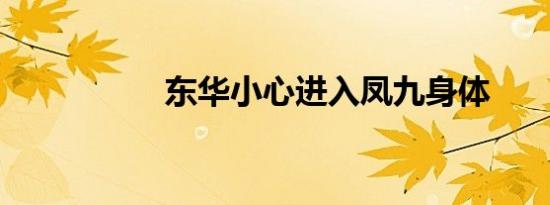 东华小心进入凤九身体