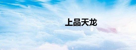 上品天龙
