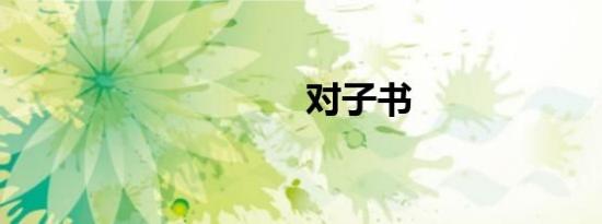 对子书