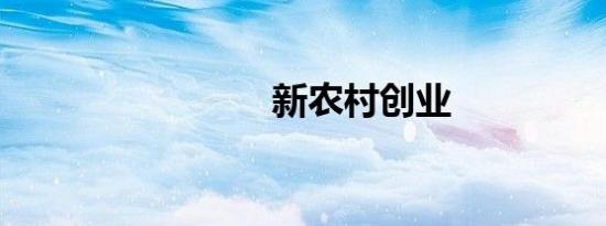 新农村创业
