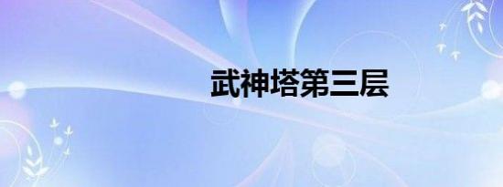 武神塔第三层
