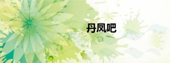 丹凤吧