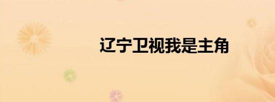 辽宁卫视我是主角