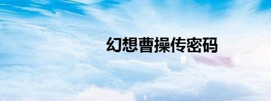 幻想曹操传密码