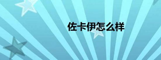 佐卡伊怎么样