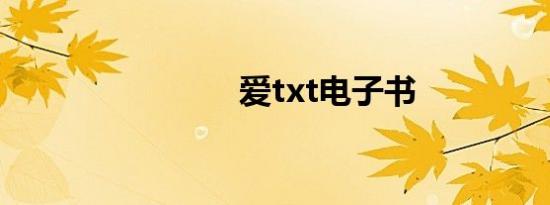 爱txt电子书
