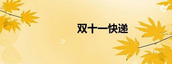 双十一快递