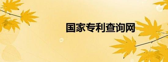 国家专利查询网