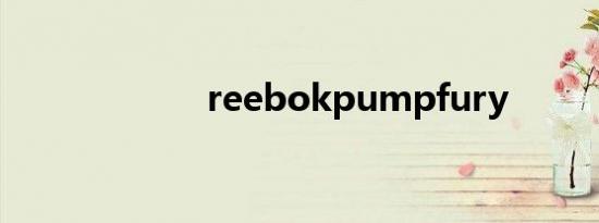 reebokpumpfury