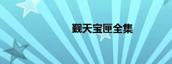 觐天宝匣全集