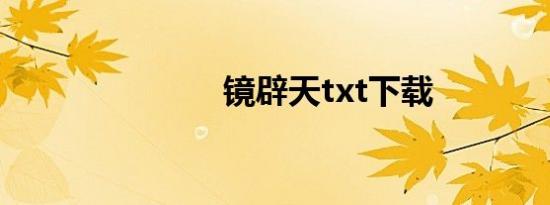 镜辟天txt下载