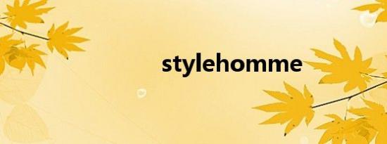 stylehomme