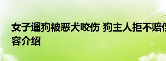 女子遛狗被恶犬咬伤 狗主人拒不赔偿相关内容介绍