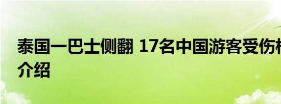 泰国一巴士侧翻 17名中国游客受伤相关内容介绍