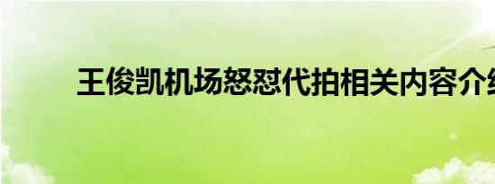 王俊凯机场怒怼代拍相关内容介绍