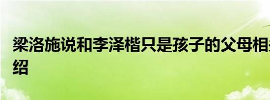 梁洛施说和李泽楷只是孩子的父母相关内容介绍