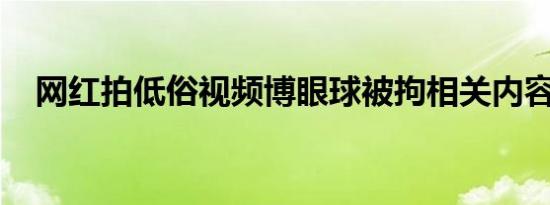 网红拍低俗视频博眼球被拘相关内容介绍