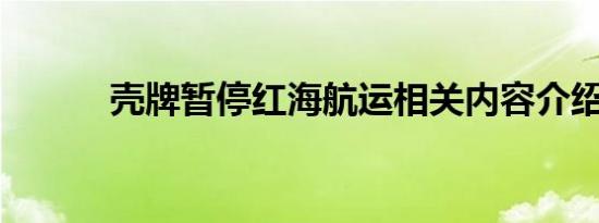 壳牌暂停红海航运相关内容介绍