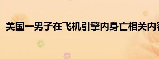 美国一男子在飞机引擎内身亡相关内容介绍