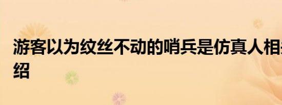 游客以为纹丝不动的哨兵是仿真人相关内容介绍