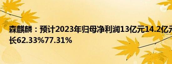 森麒麟：预计2023年归母净利润13亿元14.2亿元，同比增长62.33%77.31%