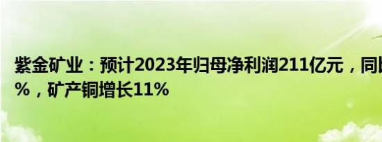 紫金矿业：预计2023年归母净利润211亿元，同比增约5.28%，矿产铜增长11%
