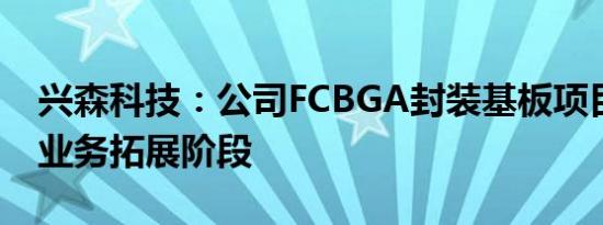 兴森科技：公司FCBGA封装基板项目正处于业务拓展阶段