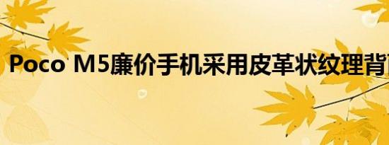 Poco M5廉价手机采用皮革状纹理背面设计