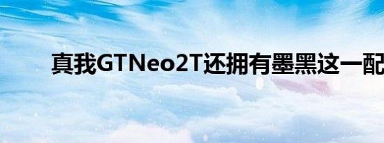 真我GTNeo2T还拥有墨黑这一配色