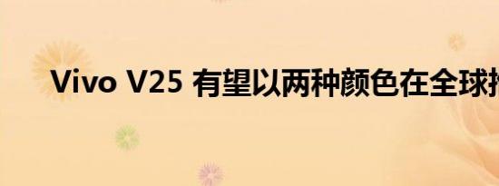 Vivo V25 有望以两种颜色在全球推出