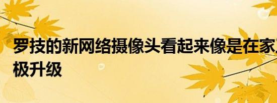 罗技的新网络摄像头看起来像是在家工作的终极升级