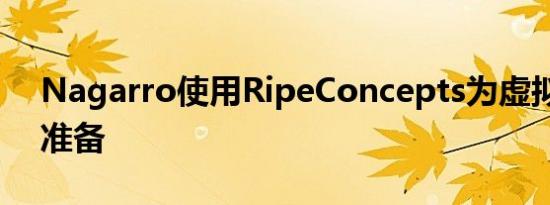 Nagarro使用RipeConcepts为虚拟世界做准备