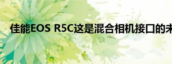 佳能EOS R5C这是混合相机接口的未来吗